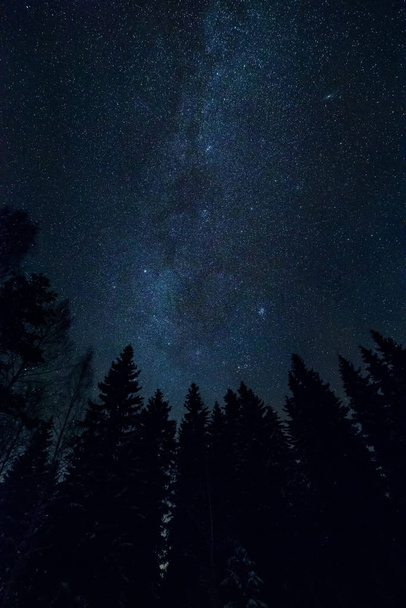 Starry night sky landscape - Foto, Imagen