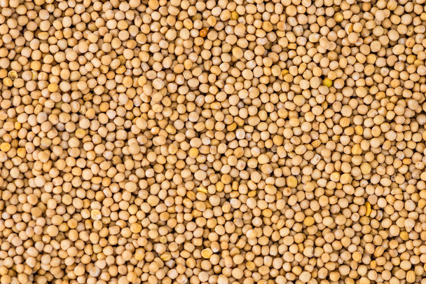 Portion of Seeds (Mustard) (selective focus) - Foto, Imagen