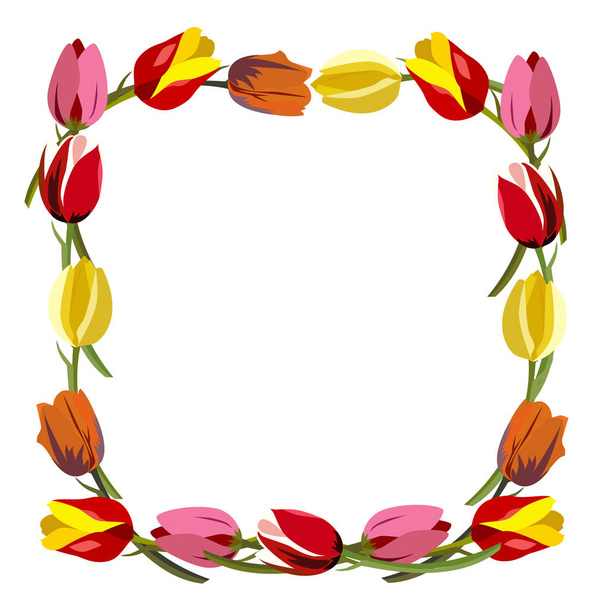 Frame van tulpen in de kleuren - Vector, afbeelding