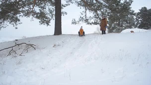 Chica ríe invierno rueda alrededor de una colina en el parque, niño feliz riendo en la nieve
. - Metraje, vídeo