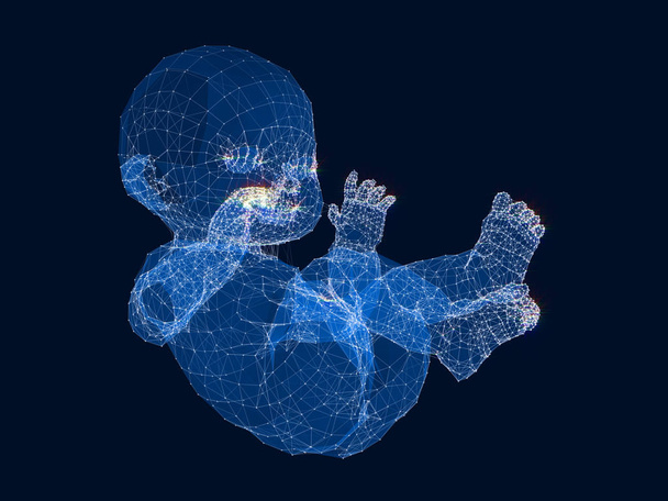 Modelo de marco de alambre del bebé. renderizado 3d
. - Foto, Imagen