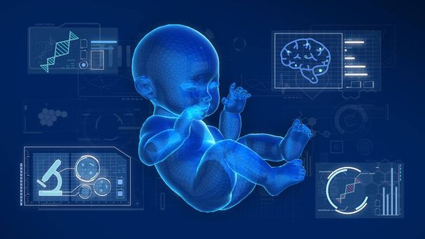 Marco de alambre del modelo del bebé con la investigación gráfica en la pantalla azul.
. - Foto, Imagen