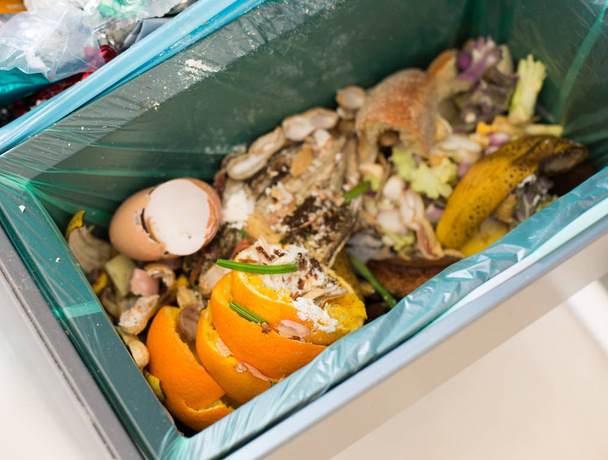 Organische afval sorteren - Foto, afbeelding