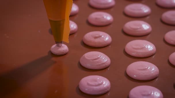 Keuken. Proces van voorbereiding van de Franse bitterkoekjes. Door middel van het gevulde gebakje vult tas van de vrouw in handschoenen een bakplaat met formulieren voor de voorbereiding van het Franse dessert. - Video
