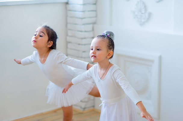 Two young ballet dancers learning the lesson - 写真・画像