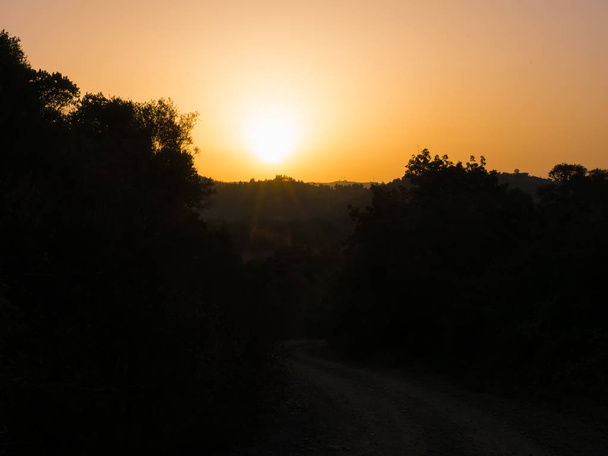 Sunrise behind forest in Portugal - Foto, immagini
