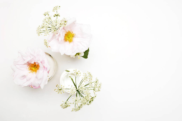 Flowers on white background. Flat lay. Mock-up desk. Beauty  - Photo, Image