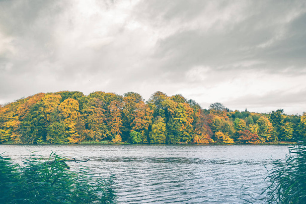Kleurrijke herfst bomen door een meer - Foto, afbeelding