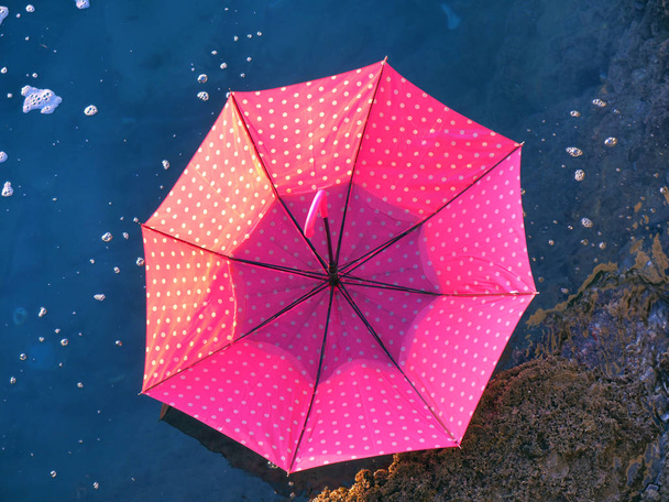 Червона розтягнута парасолька, що плаває на поверхні води
 - Фото, зображення