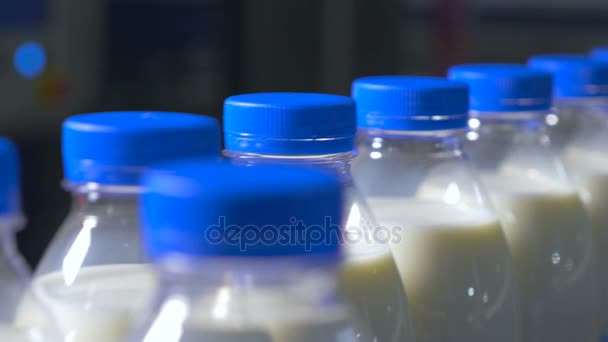 Fresh dairy products, bottles moving on a conveyor. Milk products plant. - Footage, Video