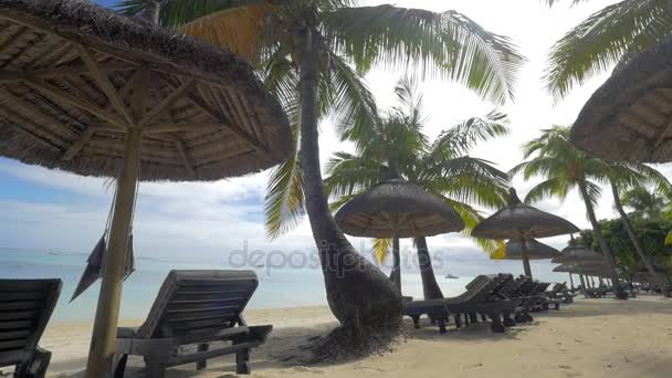 Badplaats aan de kust in de tropen - Video
