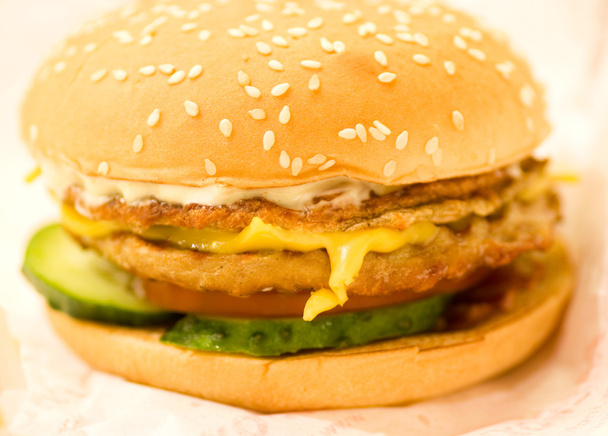 Cheese Burger - amerikanischer Cheese Chicken Burger mit frischem Salat - Foto, Bild