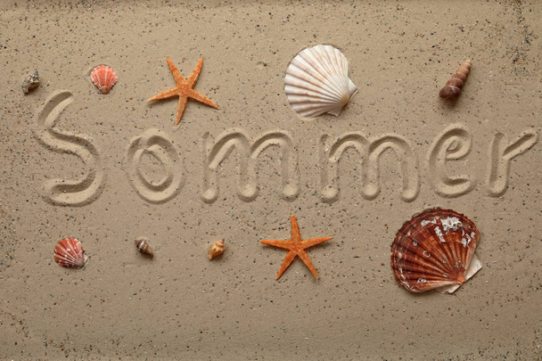 Imagen de fondo con conchas y estrellas de mar
 - Foto, Imagen
