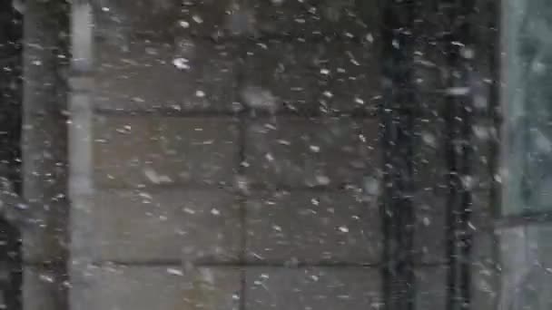Vallende sneeuwvlokken in sterke Wind in een stadsgezicht in Slow Motion. - Video