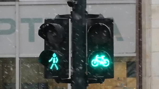 een Retro stoplicht met groene fiets teken. Slow Motion. - Video