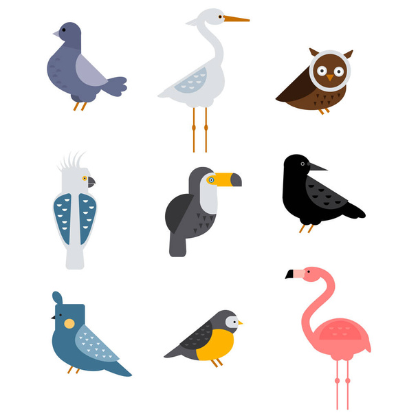 Πουλιά διάνυσμα σύνολο εικονογράφηση απομονωμένες - Διάνυσμα, εικόνα