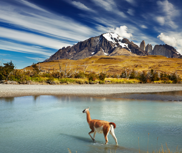 Εθνικό Πάρκο Torres Del Paine, Χιλή - Φωτογραφία, εικόνα