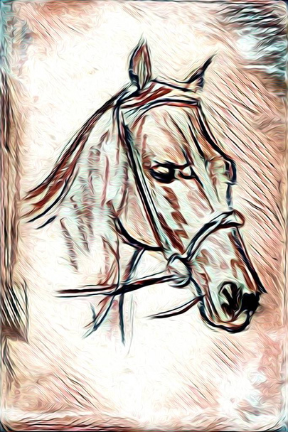 Malarstwo ilustracja koń odręczne - Zdjęcie, obraz