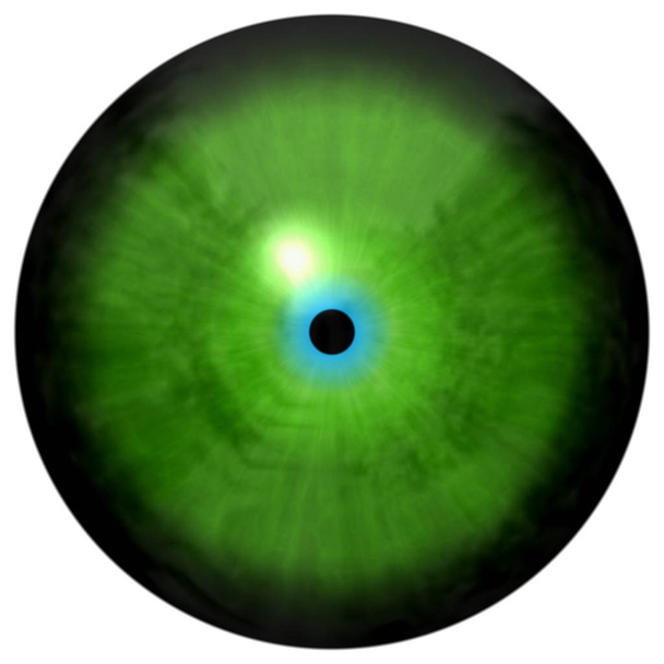 Isolated green eye. Illustration of green stripped eye iris - Photo, Image