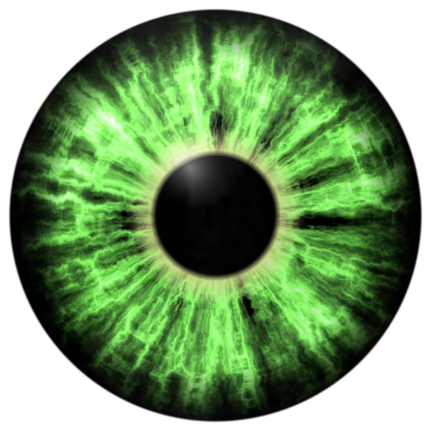 孤立した緑の目。緑のストリップの目のアイリスのイラスト - 写真・画像
