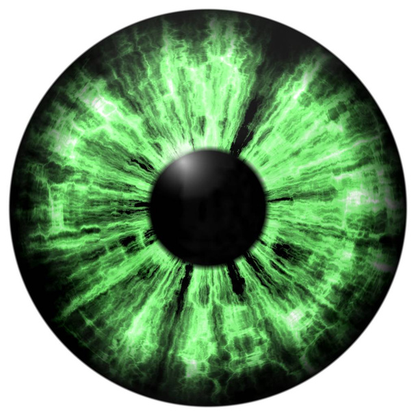 Изолированный зелёный глаз. Иллюстрация зеленой полосатой радужки глаза
 - Фото, изображение