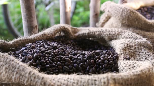 Dentro de cerca de granos de café en luz cálida sobre un lienzo de yute
 - Imágenes, Vídeo