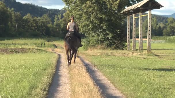 Молода щаслива жінка розслабляється в природі і їде на її темно-коричневий кінь жеребець
 - Кадри, відео
