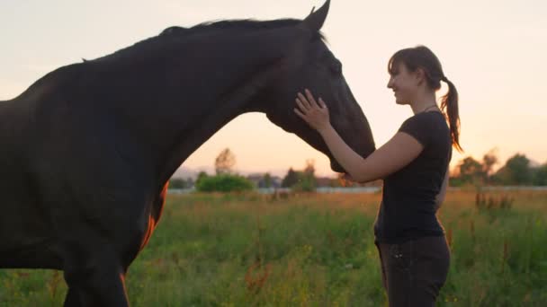 FECHAR-SE: Sorrindo jovem mulher abraçando e acariciando seu melhor amigo cavalo
 - Filmagem, Vídeo