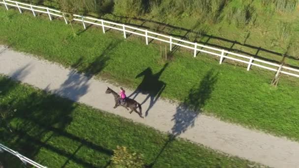 AERIAL: Jinete hembra a caballo fuerte gelding en rancho en día soleado
 - Imágenes, Vídeo