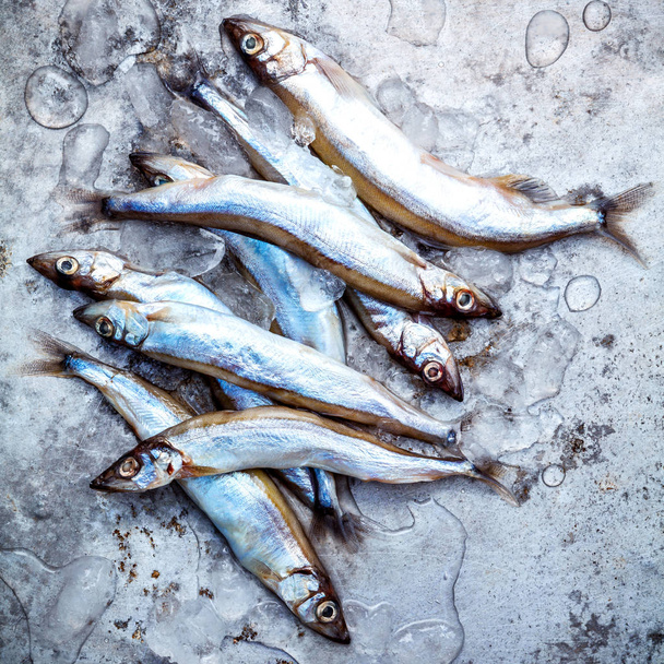 Čerstvé úlovky Shishamo ryb plně vejce plochý ležela na omšelé kovových ba - Fotografie, Obrázek