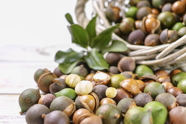 Орехи макадамии с раковиной - вкусные дорогие жирные орехи
  - Фото, изображение