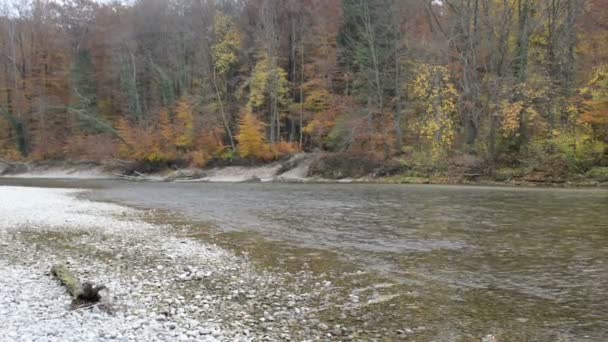 Φθινοπωρινό τοπίο του ποταμού Isar δίπλα στο Pullach στη Βαυαρία. Κοντά σε: Μόναχο. (Γερμανία) - Πλάνα, βίντεο