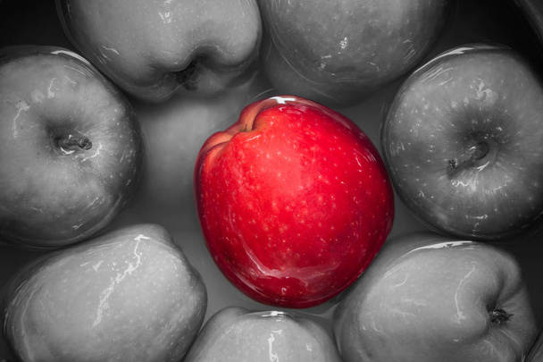 Apple különbség piros színű fekete-fehér - Fotó, kép