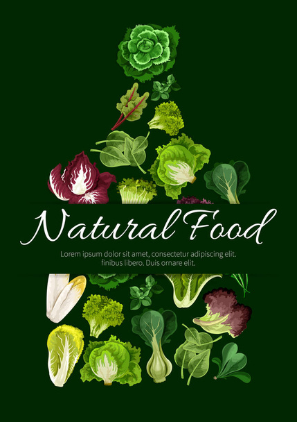 Yeşil yapraklı salata, doğal gıda posteri - Vektör, Görsel