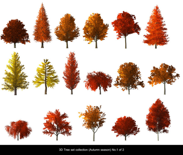 CG модели осенних деревьев для проектирования архитектуры
. - Фото, изображение