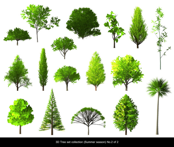 Green leaf Tree summer season set for architecture landscape design - Fotó, kép