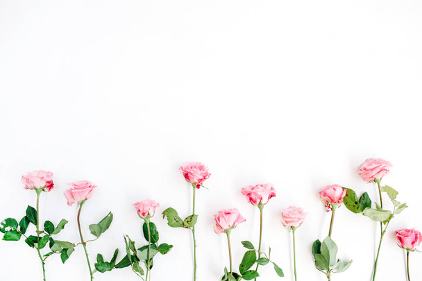 Pink roses on white background - Фото, изображение