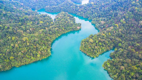 der größte Regenwald-Nationalpark in Thailand - Foto, Bild