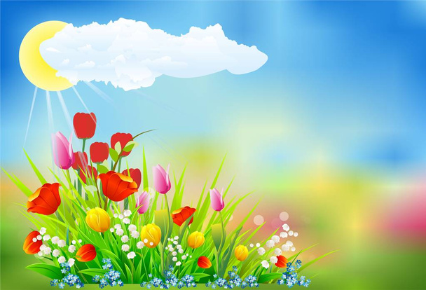 decoração primavera com tulipas
, - Vetor, Imagem