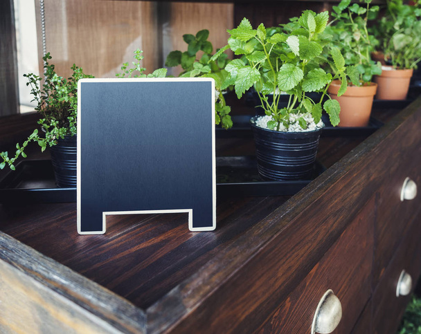 Vysmívat se tabuli stojan s ekologicky vypěstované rostliny na dřevěné police - Fotografie, Obrázek