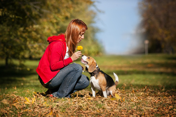 Girl playing with her dog in autumn park - Foto, Imagen
