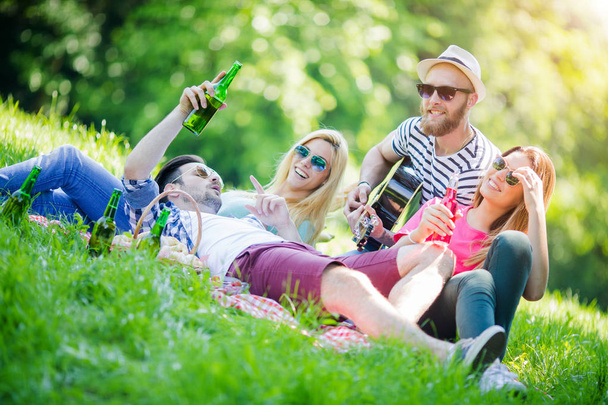 公園でピクニックを持つ友人のグループ - 写真・画像