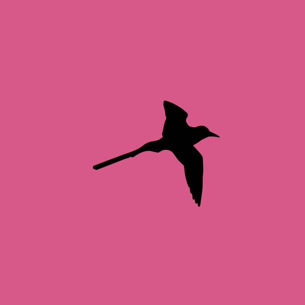 Ptak ikona ilustracja na białym tle wektor symbol znak - Wektor, obraz