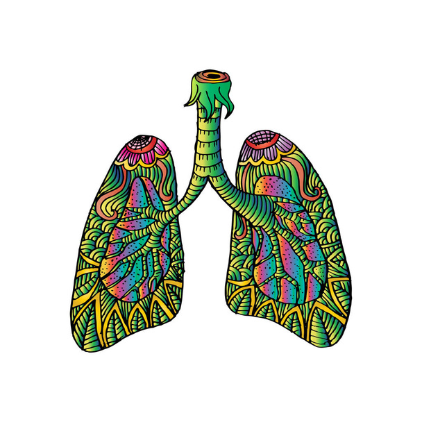 Akciğerler Illustration. İnsan organı çizim doodle. - Fotoğraf, Görsel