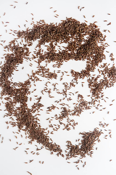 Spices for meat dishes. Whole grains Zira. White background. iso - Foto, afbeelding