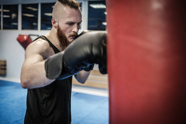 Fighter training with punching bag at gym - 写真・画像
