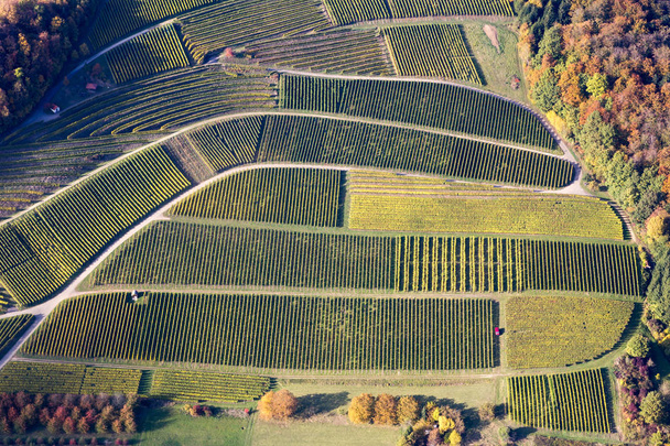 Letecký pohled na vinice v jižním Německu - Fotografie, Obrázek