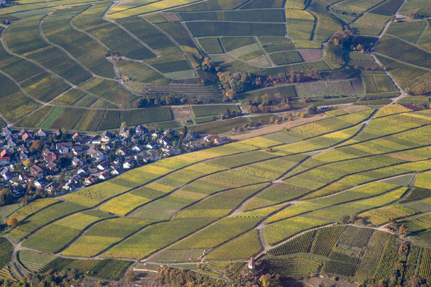 Aerial view of vineyards in Southern Germany - Photo, Image