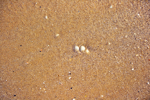 Sand - Fotografie, Obrázek
