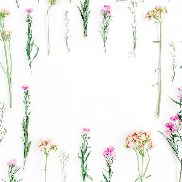 Çerçeve ile renkli kır çiçekleri, yeşil yaprakları, dalları - Fotoğraf, Görsel